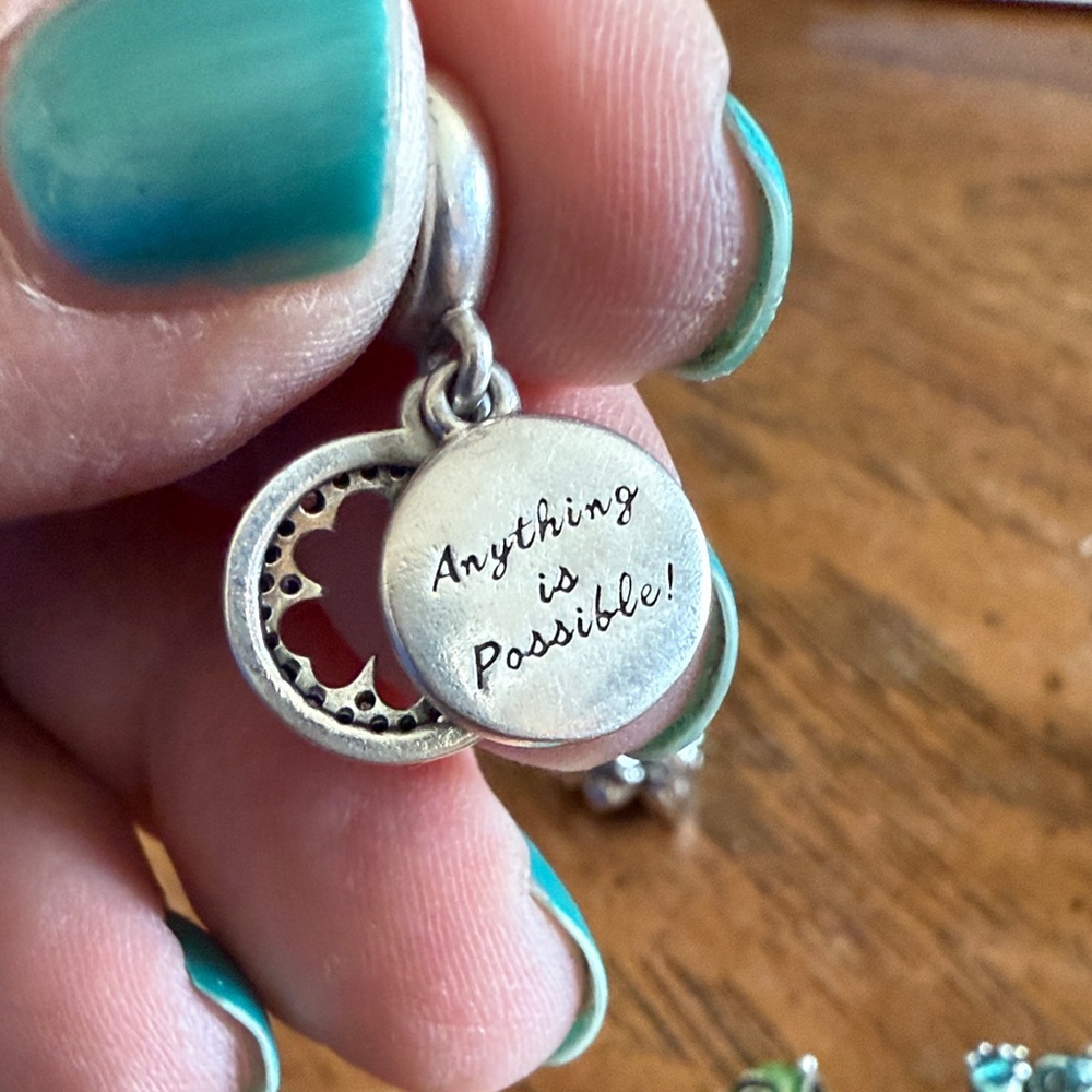 Silver and Blue Small Pet Charms Set - Picture 5 of 13